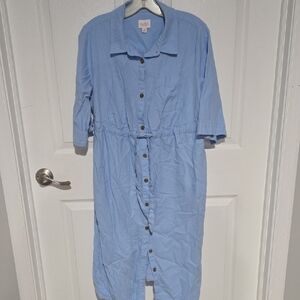 Isabel Maternity Blue Button Down Dress